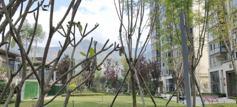 温馨时光民宿(大坪南路分店)图片