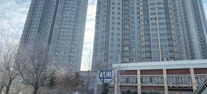 江景宜居公寓(鸭绿江大街分店)图片