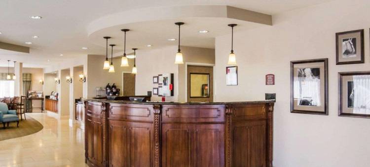 舒适套房酒店-弗恩利(Comfort Suites Fernley)图片