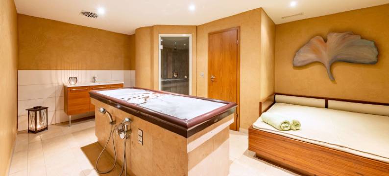 Parkhotel Maximilian Resort & SPA图片