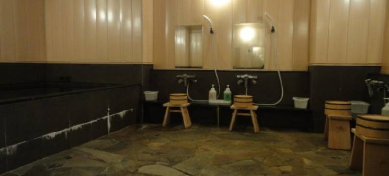 新泻公园酒店(Niigata Park Hotel)图片