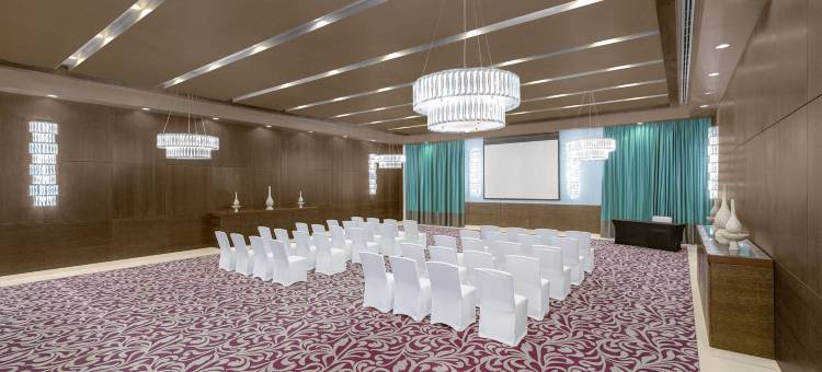 福朋喜来登-艾因(Four Points by Sheraton Al Ain)图片