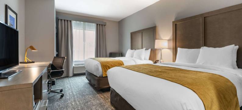 舒适酒店和套房 - 杰克逊维尔橙园靠近海军航空站(Comfort Inn & Suites Jacksonville - Orange Park Near Naval Air Station)图片