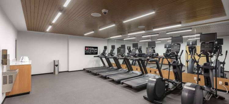 瓜达拉哈拉机场希尔顿花园酒店(Hilton Garden Inn Guadalajara Airport)图片