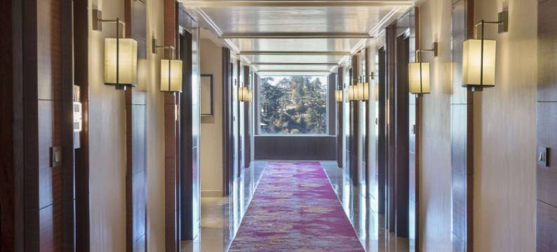 丽笙酒店库夫里西姆拉(Radisson Hotel Kufri Shimla)图片