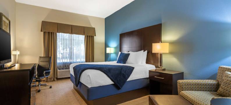 莱托贝斯特韦斯特优质套房酒店(Best Western Plus Lytle Inn  Suites)图片