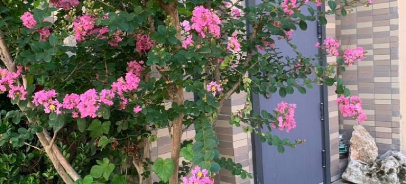 道旅人公寓(升平街分店)图片