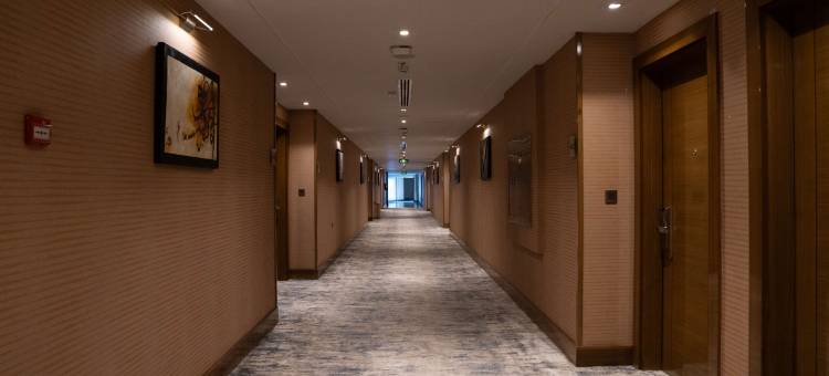 盖西姆金色郁金香酒店(Golden Tulip Buraidah)图片