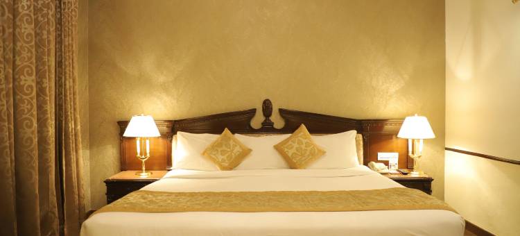 假日丽景酒店(Holiday Regency)图片