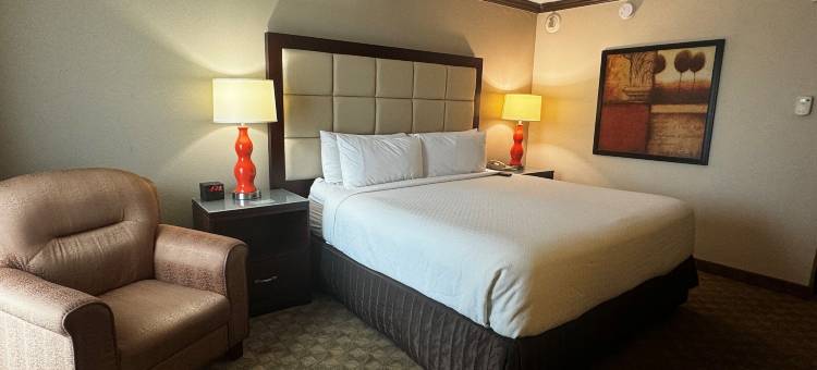 Wingate Houston Near NRG Park/Medical Center图片