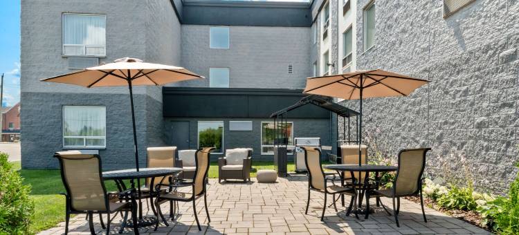 天鹅堡贝斯特韦斯特酒店(Best Western Swan Castle Inn)图片