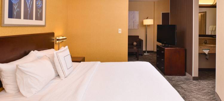 匹兹堡门米尔斯万豪SpringHill酒店(SpringHill Suites Pittsburgh Mills)图片