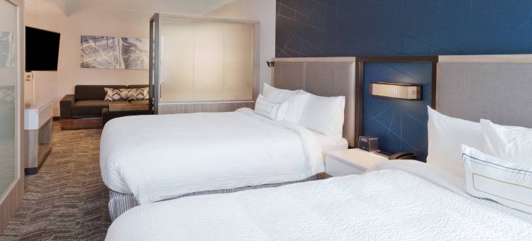 蒙哥马利普拉特维尔-米尔布鲁克万豪SpringHill Suites酒店(SpringHill Suites Montgomery Prattville/Millbrook)图片