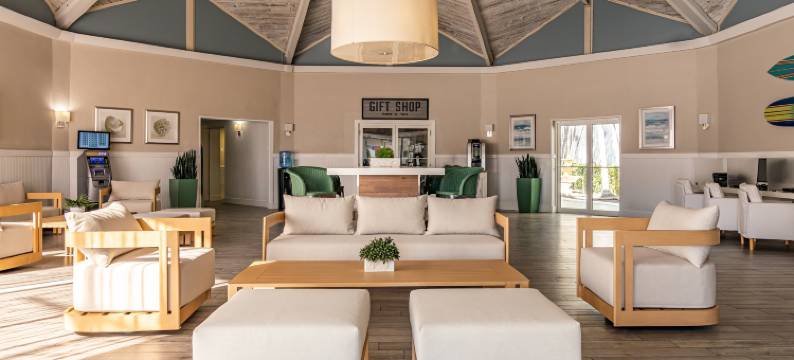 棕榈树俱乐部迈阿密(Palm Tree Club Miami Hotel)图片