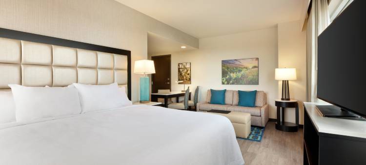 圣安东尼奥地标希尔顿安泊酒店(Embassy Suites by Hilton San Antonio Landmark)图片