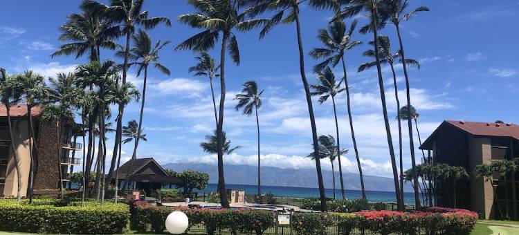 免度假村费及停车费精美海滨一层公寓配有空调.(No Resort or Parking Fees. Beautiful Ocean Front, Ground Level Condo with A/C.)图片