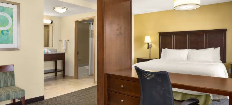 伯明翰伊格尔波恩特东280号欢朋套房酒店(Hampton Inn & Suites Birmingham/280 East-Eagle Point)图片