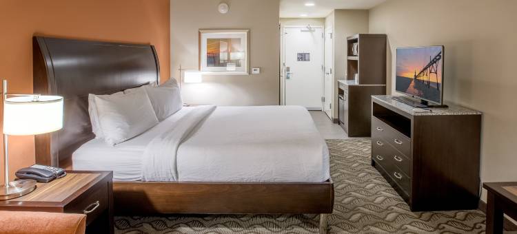 希尔顿花园旅馆-本顿港圣约瑟夫(Hilton Garden Inn Benton Harbor/St. Joseph)图片