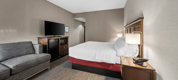 希尔顿欢朋酒店-新贝德福德费尔黑文(Hampton Inn New Bedford/Fairhaven)图片