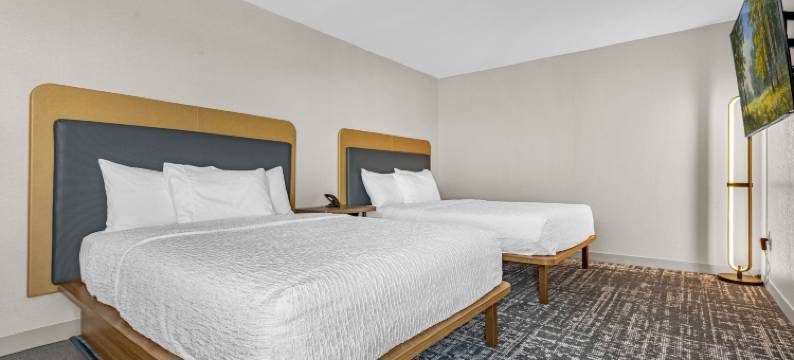 Homewood Suites by Hilton Colorado Springs Airport图片