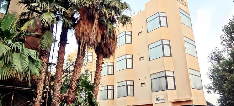曼苏里公寓大楼酒店(Mansouri Mansions Hotel)图片