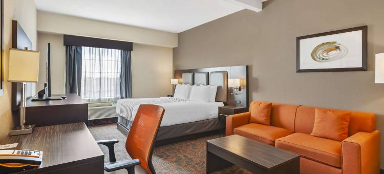 多伦多行政贝斯特韦斯特优质酒店(Best Western Plus Executive Inn)图片