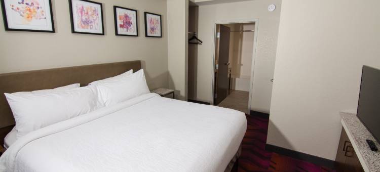 坦帕桑科斯特大道希尔顿花园酒店(Hilton Garden Inn Tampa Suncoast Parkway)图片