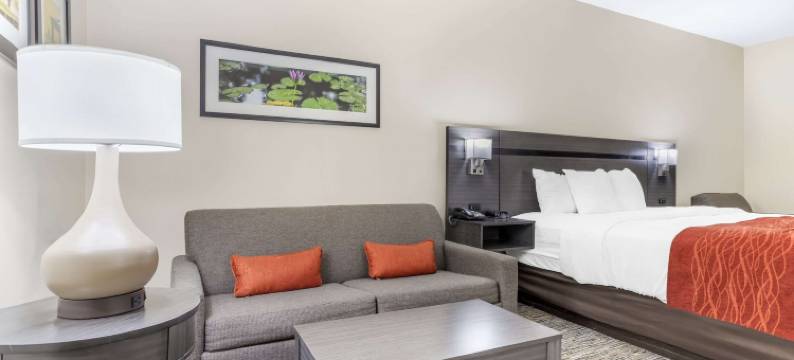 舒适酒店奥兰治I-10(Comfort Inn Orange I-10)图片