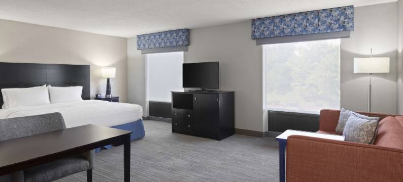 阿伦德尔·米尔斯巴尔的摩欢朋套房酒店(Hampton Inn & Suites Arundel Mills/Baltimore)图片