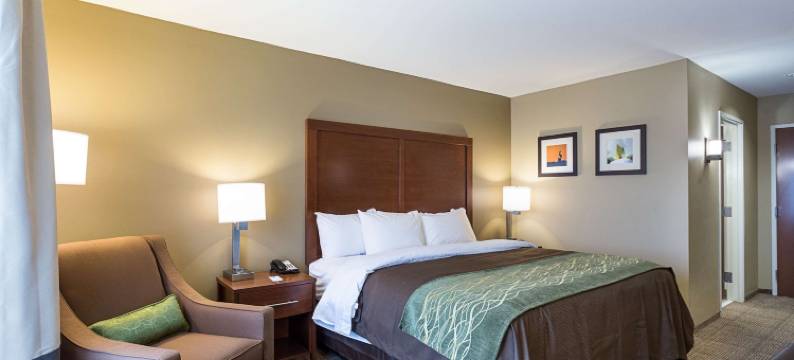 舒适套房酒店(Comfort Inn & Suites Zachary)图片