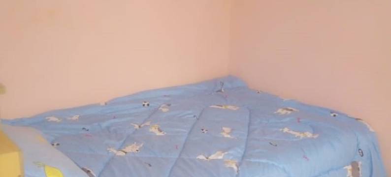 Peacock Restaurant图片