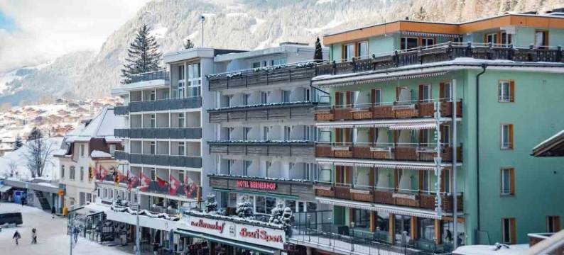伯尔尼霍夫酒店(Hotel Bernerhof Grindelwald)图片
