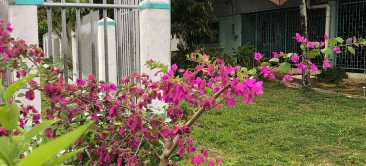 乌努皮金旅馆(Unu Pikin Guesthouse)图片