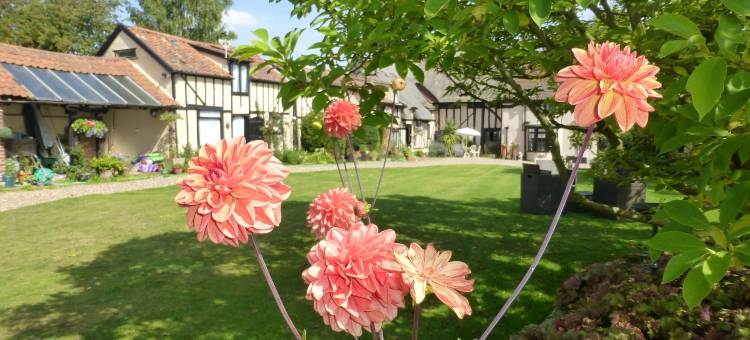 灰狗小屋(The Greyhound - Historic Former Inn)图片
