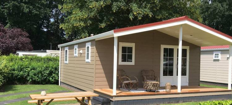 Bedafse Bergen的有露台的平房(Bungalow with a Terrace at Bedafse Bergen)图片
