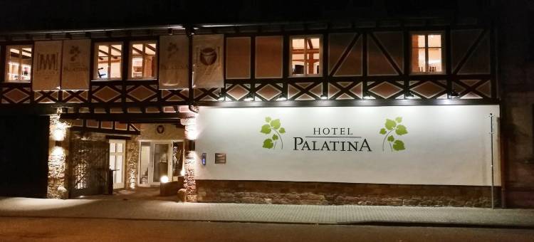 帕拉蒂尼酒店(Hotel Palatina "Hotel-Restaurant")图片