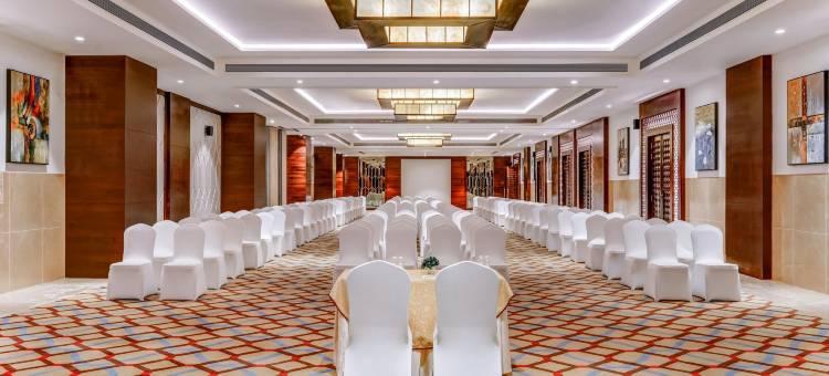 Lemon Tree Premier Dwarka(飞燕树酒店·德瓦卡分店)(Lemon Tree Premier, Dwarka)图片