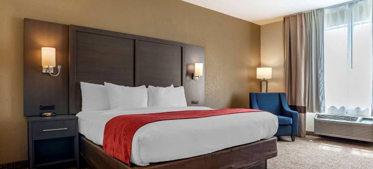 米尔布鲁克-普拉特维尔舒适套房酒店(Comfort Inn & Suites Millbrook-Prattville)图片