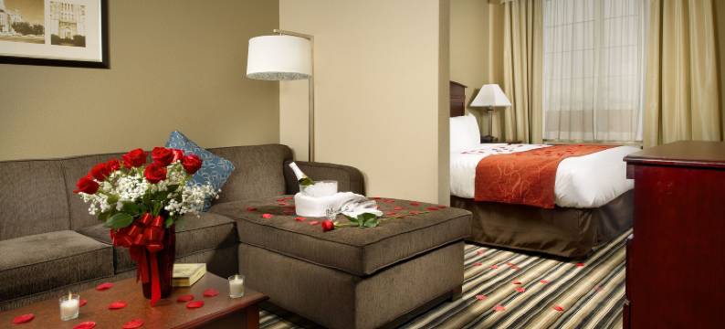 韦科北舒适套房酒店-近大学区(Comfort Suites Waco North - Near University Area)图片