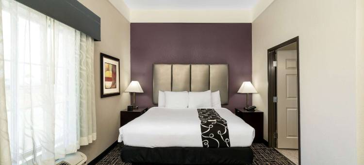 坎顿拉昆塔温德姆套房酒店(La Quinta Inn & Suites by Wyndham Canton MS)图片
