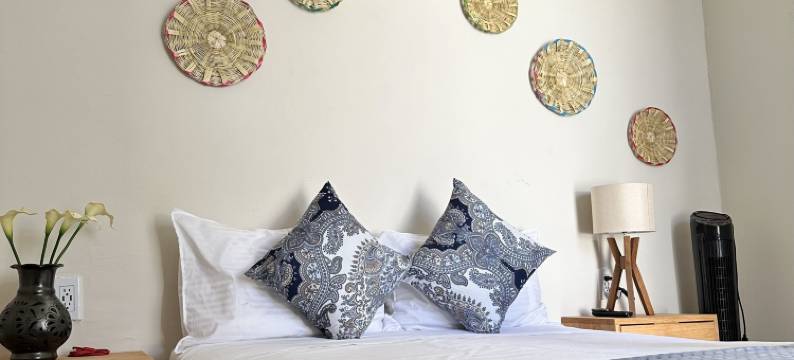 博卡特里普哈拉塔科(Bokatrip Jalatlaco)图片