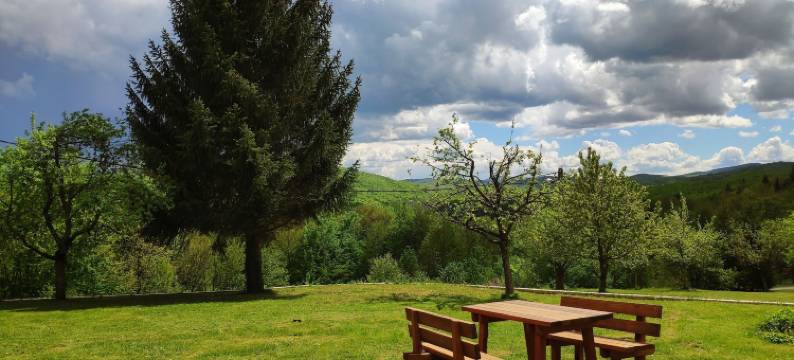 普里特维采露西亚别墅住宅酒店(Villa Lucija)图片