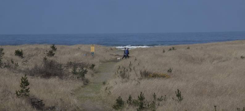 肖托夸度假酒店及会议中心(Chautauqua Resort & Conference Center)图片