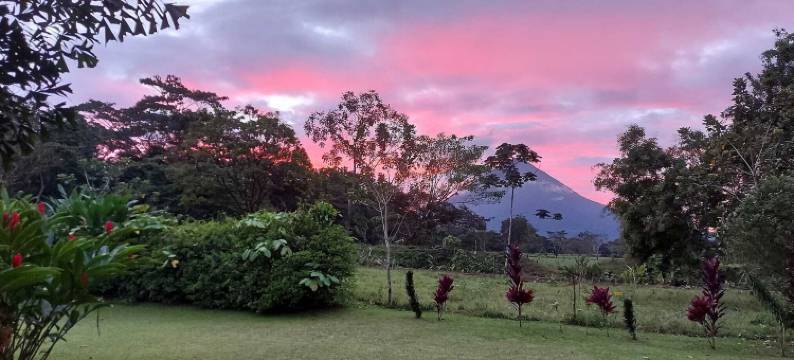 唐加拉阿雷纳尔酒店(Hotel Tangara Arenal)图片