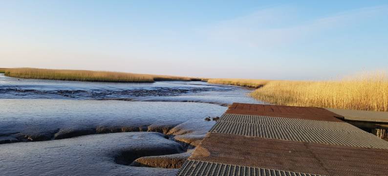 雷德兰住宿加早餐酒店(Bed & Breakfast Rheiderland)图片