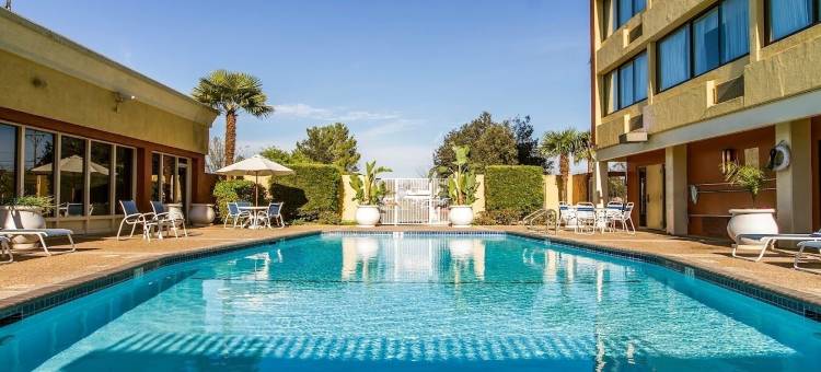 康科德核桃溪凯隆酒店(Clarion Hotel Concord-Walnut Creek)图片