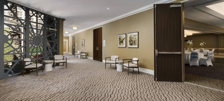 可可比奇海滩- 海滨希尔顿花园酒店(Hilton Garden Inn Cocoa Beach Oceanfront)图片