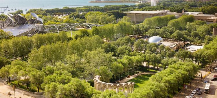 阿尔洛芝加哥(Arlo Chicago)图片