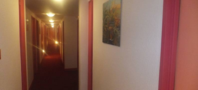 乐维雷治酒店(Hotel le Village)图片