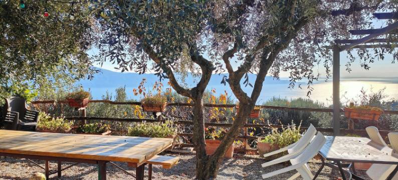 农家乐斯库德里亚卡斯特洛(Agriturismo Scuderia Castello)图片